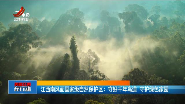 美丽江西在行动20241110 江西南风面国家级自然保护区：守好千年鸟道 守护绿色家园