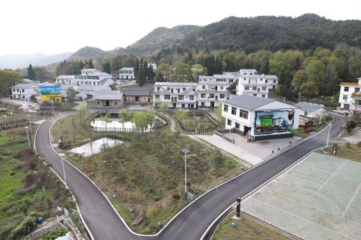 宜春市袁州区三阳镇人大：助力环境整治 绘就美丽乡村新画卷