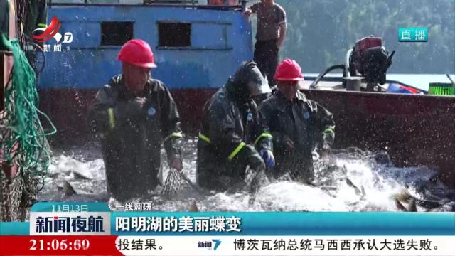 【一线调研】阳明湖的美丽蝶变