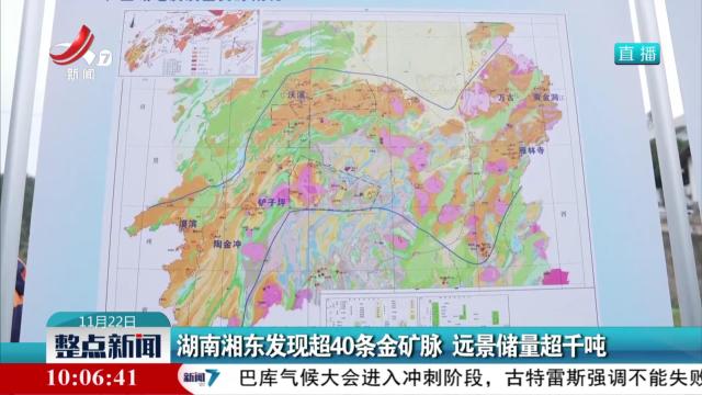 湖南湘东发现超40条金矿脉 远景储量超千吨