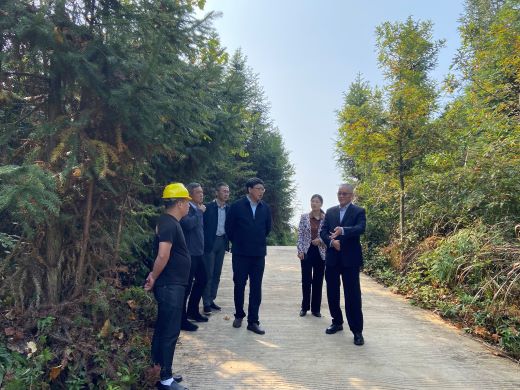 石军英到万载县调研深化集体林权制度改革工作