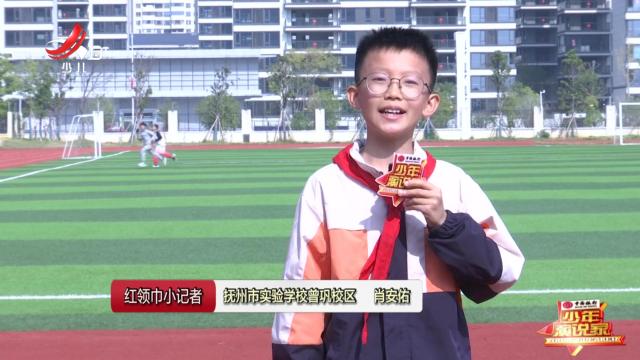红领巾小记者20241123