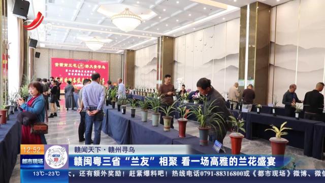 【赣闻天下】赣州寻乌：赣闽粤三省“兰友”相聚 看一场高雅的兰花盛宴