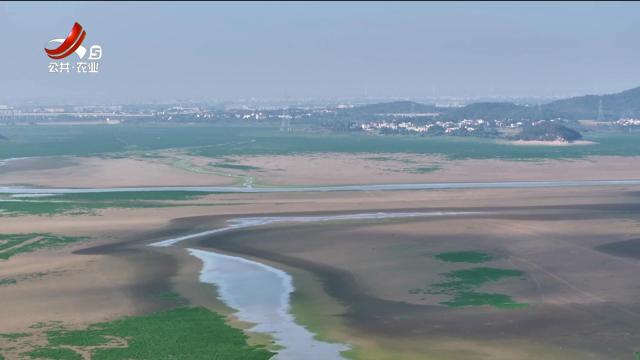 美丽江西在行动20241103 丰城市湖塘乡举办第二届“状元米粉肉文化节”