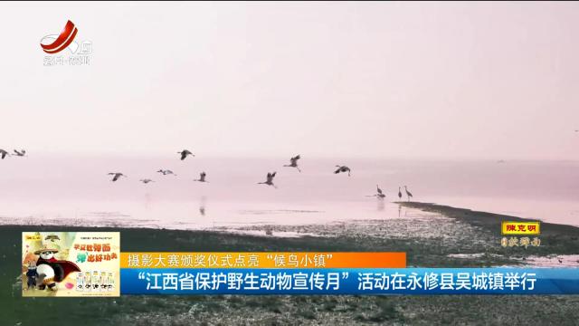 【摄影大赛颁奖仪式点亮“候鸟小镇”】“江西省保护野生动物宣传月”活动在永修县吴城镇举行