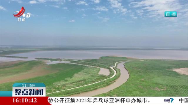深秋时节 南矶湿地美如画