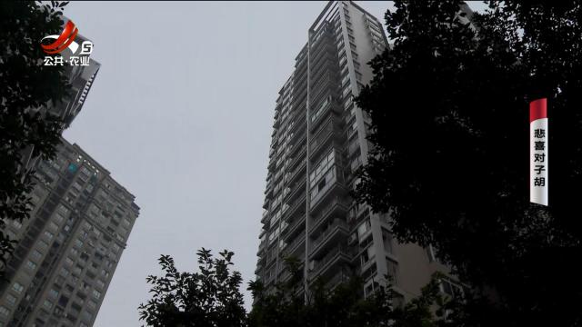 乡村栏目剧场20241120 悲喜对子胡