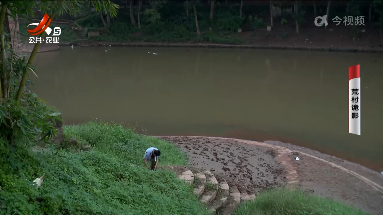 乡村栏目剧场20241105 荒村诡影