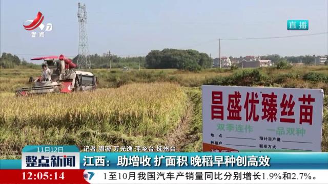 江西：助增收 扩面积 晚稻早种创高效