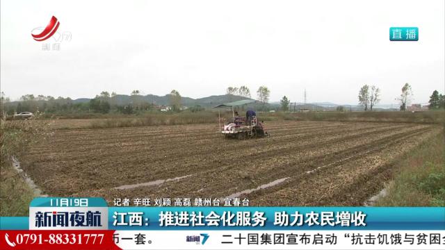 江西：推进社会化服务 助力农民增收