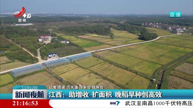 江西：助增收 扩面积 晚稻早种创高效