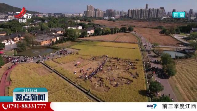 瑞金：体验传统农事 乐享亲子时光