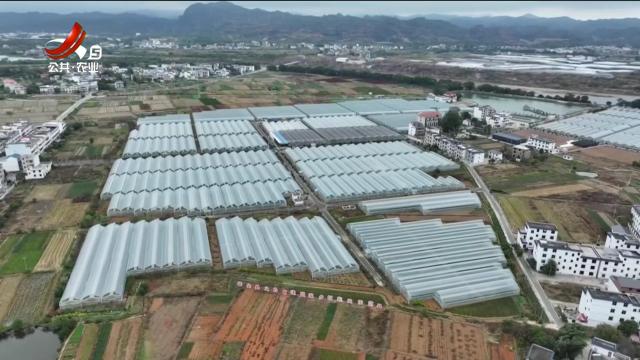 三农头条20241128