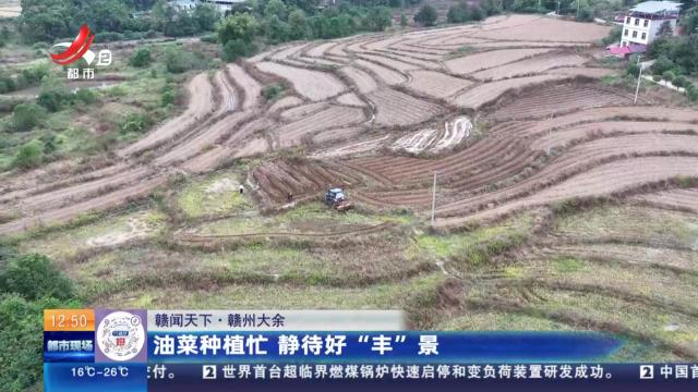 【赣闻天下】赣州大余：油菜种植忙 静待好“丰”景