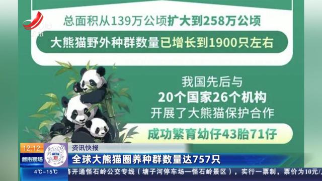 全球大熊猫圈养种群数量达757只
