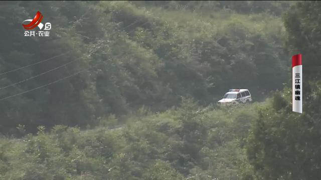 乡村栏目剧场20241123 三江镇幽魂