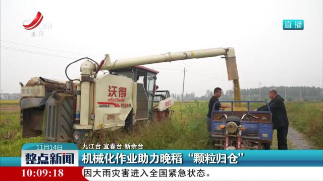 机械化作业助力晚稻“颗粒归仓”
