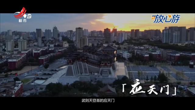 都市放心游20241124