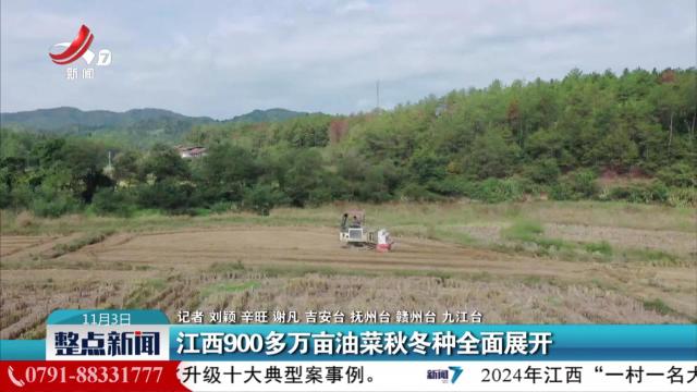 整点新闻20241103 14:00