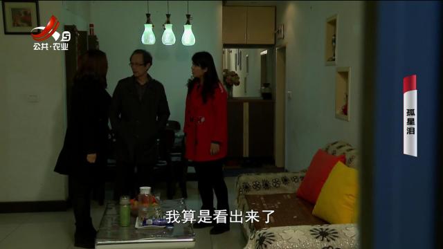 乡村栏目剧场20241121 孤星泪