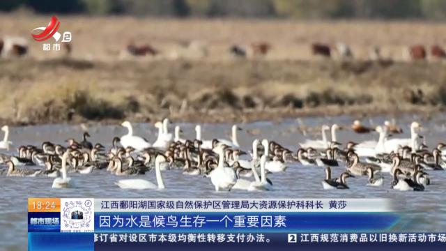 【鄱阳湖国家级自然保护区管理局】对“碟形湖”采取保水措施 为候鸟越冬创造有利条件