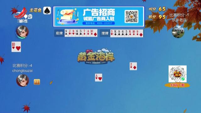 谁是赢家20241106