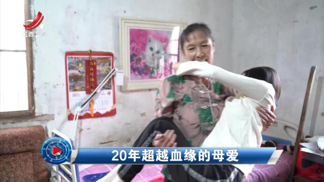 社会传真20241105 20年超越血缘的母爱