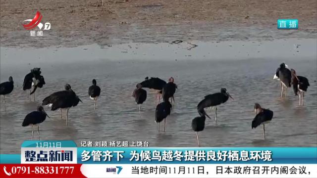 多管齐下 为候鸟越冬提供良好栖息环境