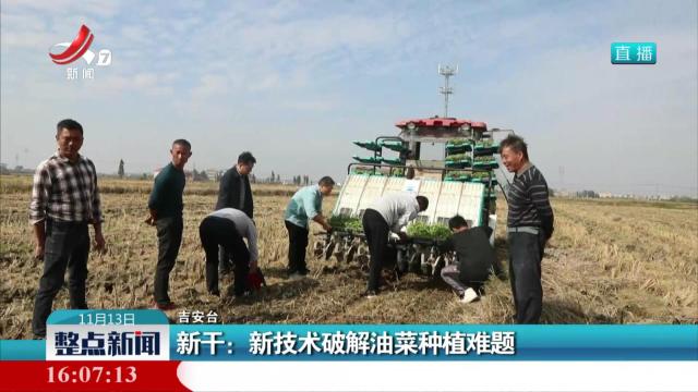 新干：新技术破解油菜种植难题