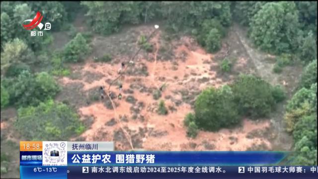 抚州临川：公益护农 围猎野猪