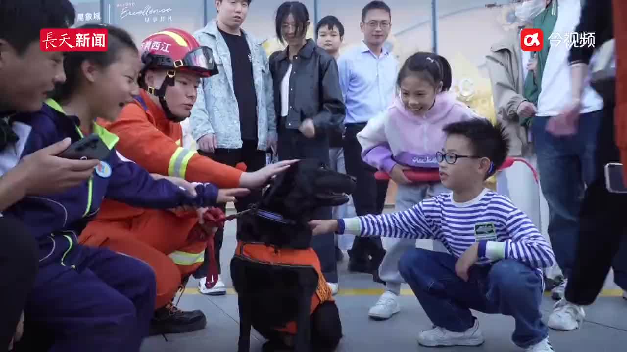 “被搜救犬萌到了”！市民零距离打卡学习消防知识