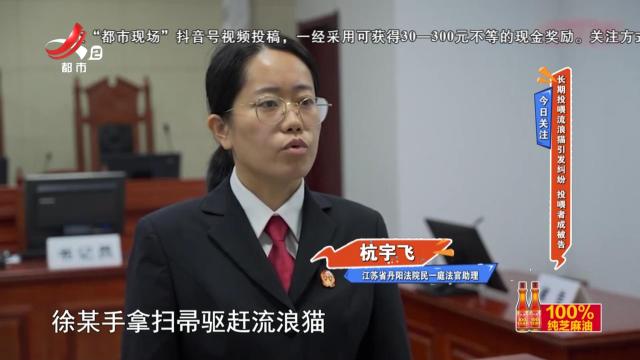 今日关注：长期投喂流浪猫引发纠纷 投喂者成被告