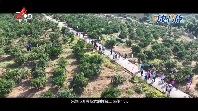 都市放心游·放心游指南20241117