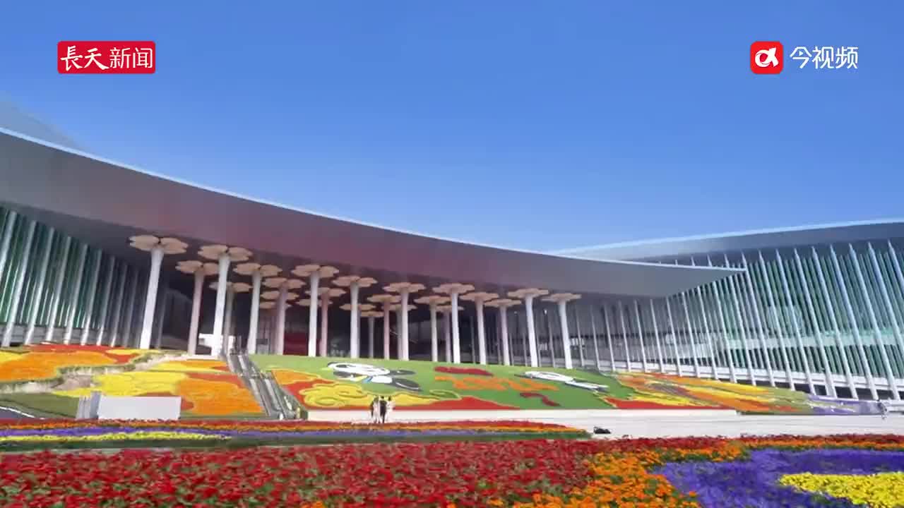 VR探馆进博会：“在现场”度过 进博会给记者们送来节日礼物