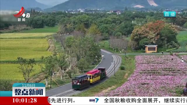 前三季度我国花卉进出口贸易额超20亿元