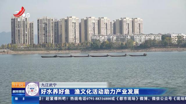 九江武宁：好水养好鱼 渔文化活动助力产业发展