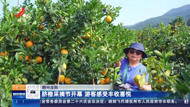 赣州龙南：脐橙采摘节开幕 游客感受丰收喜悦