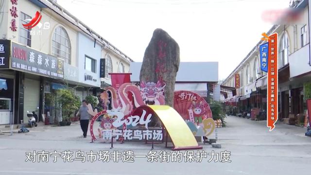 地宝当家20241108