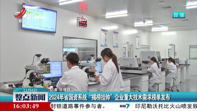 2024年省国资系统“揭榜挂帅”企业重大技术需求榜单发布