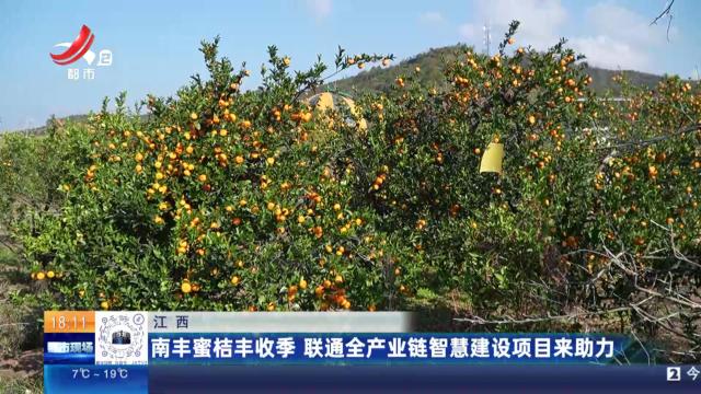 江西：南丰蜜桔丰收季 联通全产业链智慧建设项目来助力