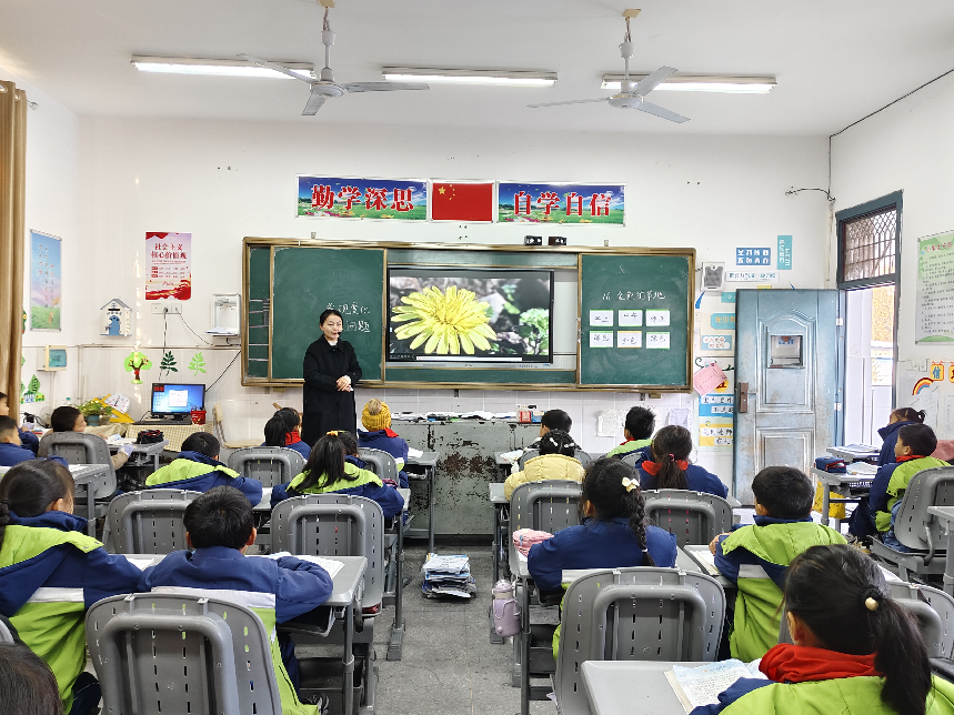 教以共进 研以致远——南丰县琴城小学十二月“一大三小”教研活动