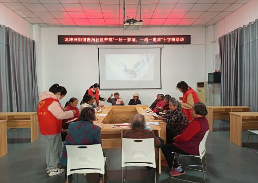 丰城市龙津洲街道香甪社区开展“一针一梦境，一线一世界”十字绣活动