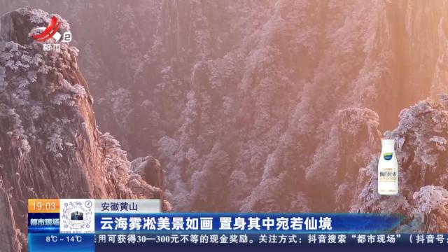 安徽黄山：云海雾凇美景如画 置身其中宛若仙境