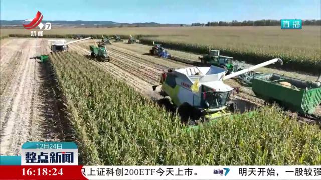 整点新闻20241224 16:00