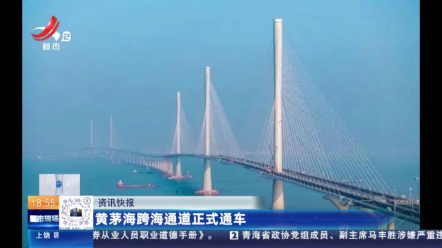 黄茅海跨海通道正式通车