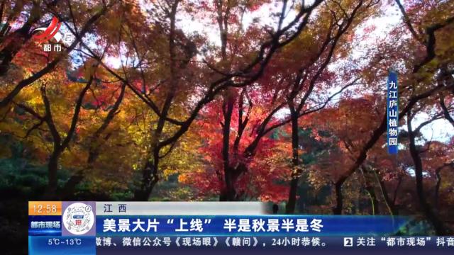 都市现场·午间版20241208