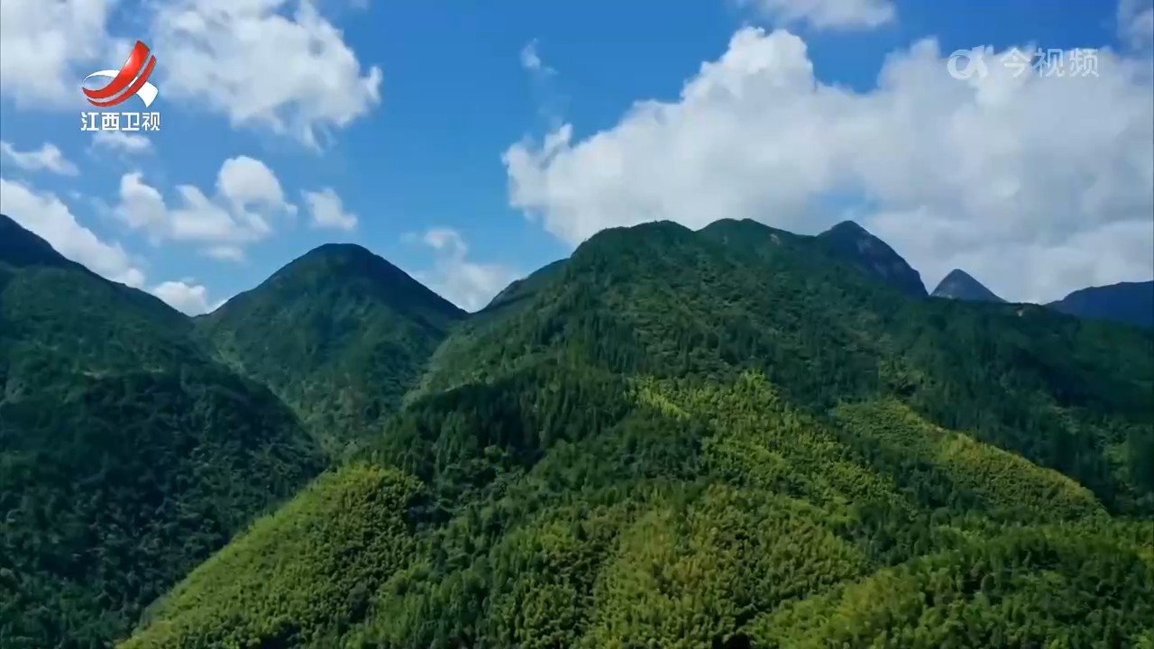 江西新闻联播20241225