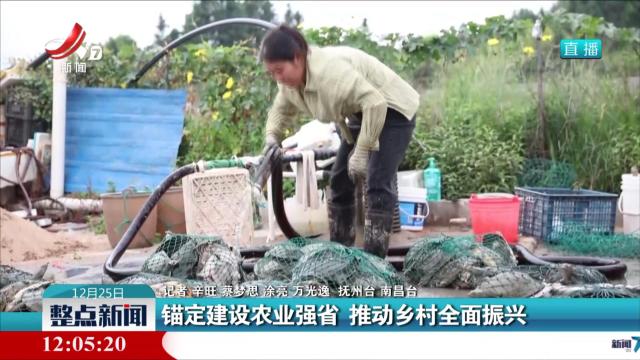锚定建设农业强省 推动乡村全面振兴