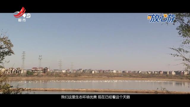 都市放心游·放心游指南20241215