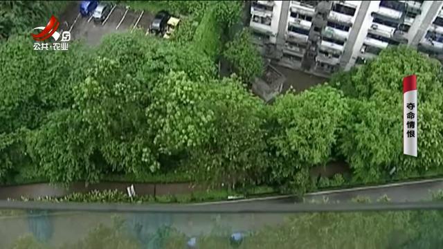乡村栏目剧场20241211 夺命情恨